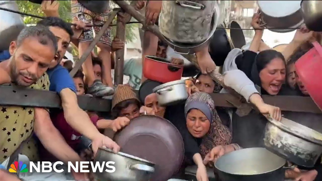 Growing number of children in Gaza dying of malnutrition